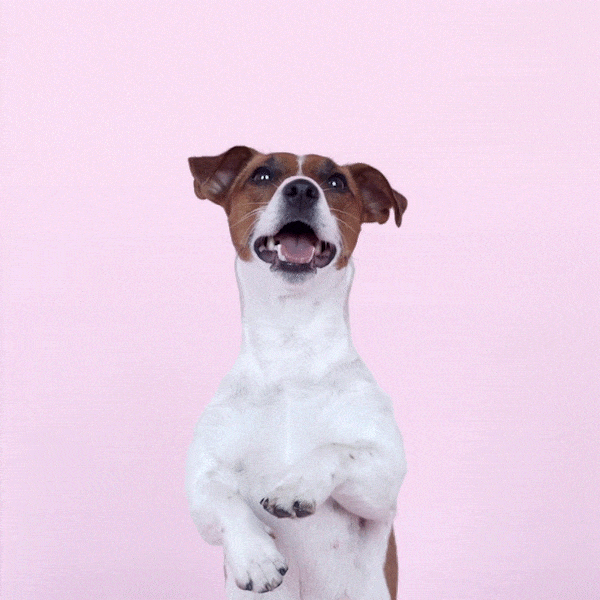 Discover the innovative strategies and tactics that make Carlee Benito